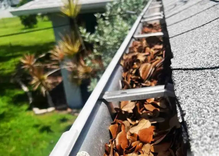 West Wyoming gutter cleaning home page